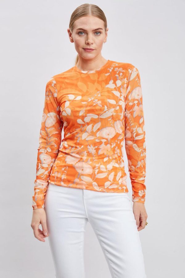 Summitpeak.shopfda967c67d 1