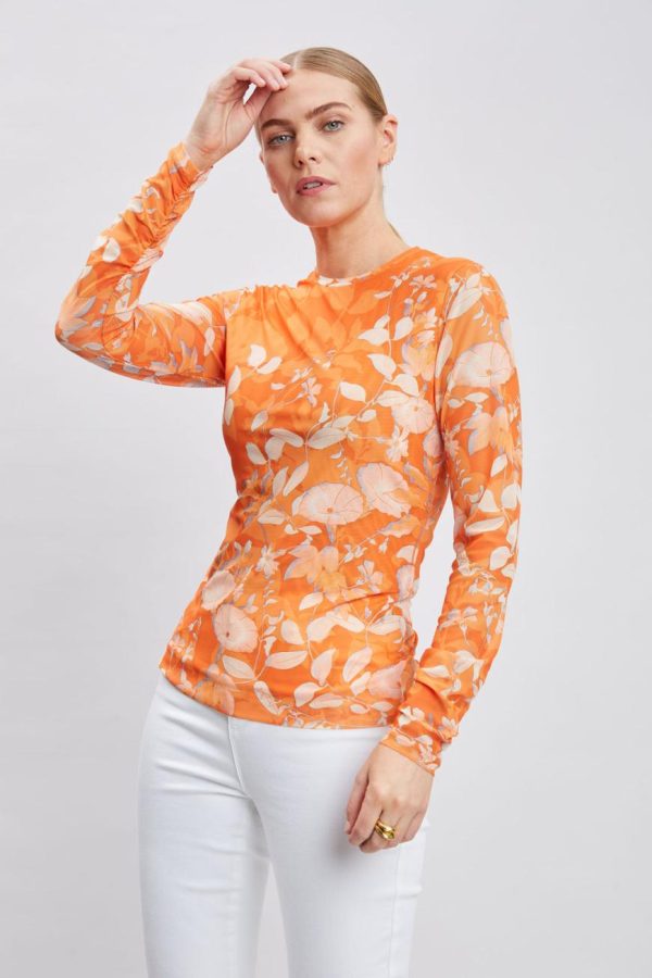 Summitpeak.shopfda967c67d 5